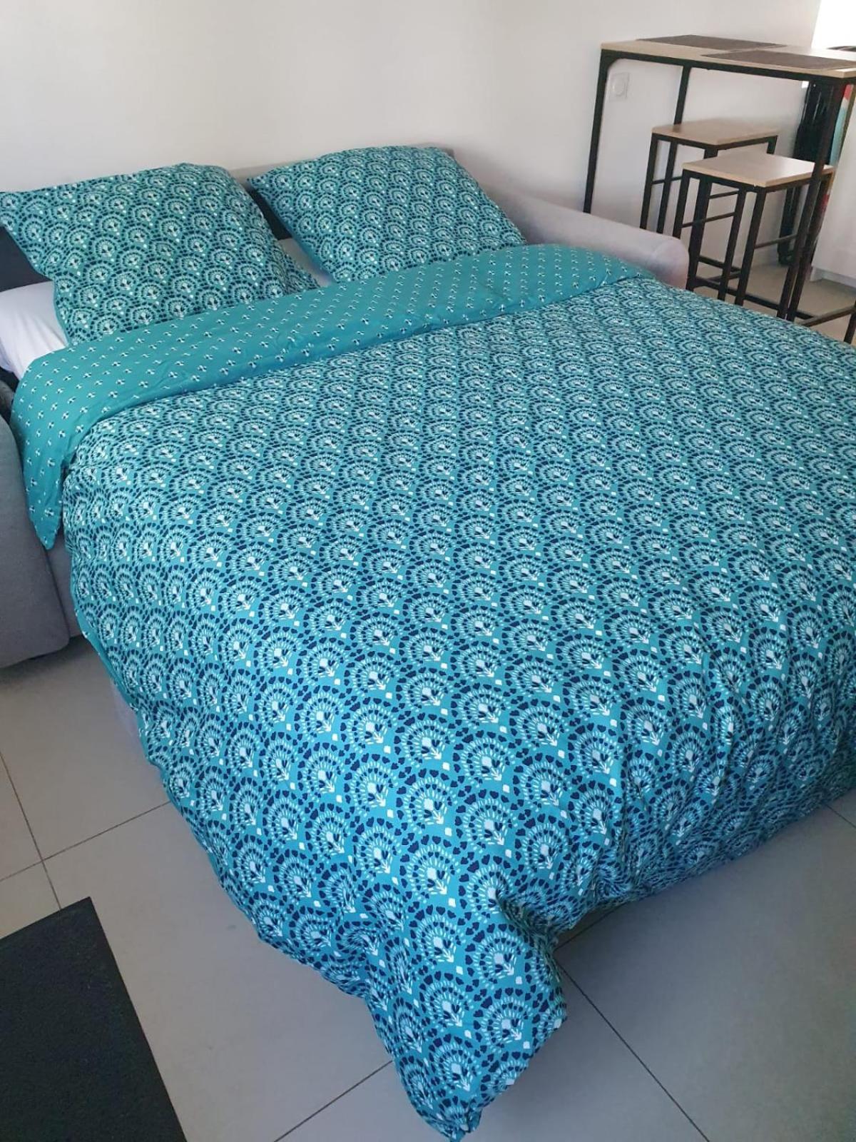 Appartement Cosy Et Calme น็องต์ ภายนอก รูปภาพ